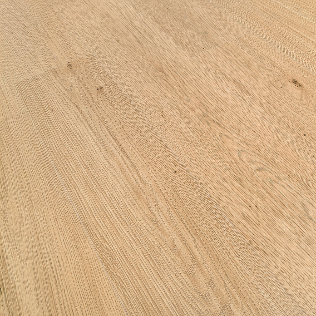 Laminatgulv Oak Camel 8 mm