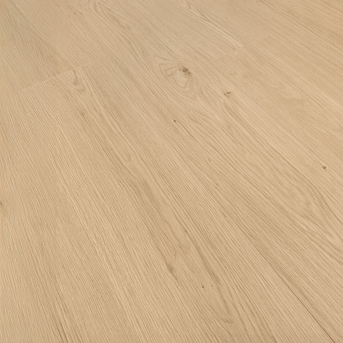 Laminatgulv Oak Dessert 8 mm