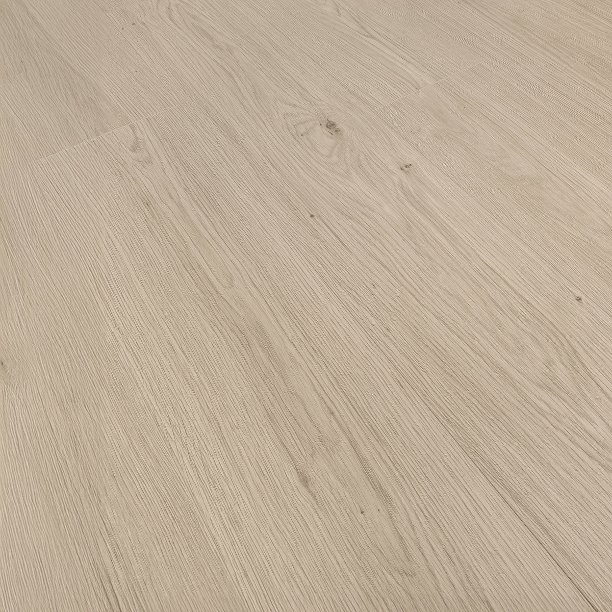 Laminatgulv Oak Dessert 8 mm, 1-stav