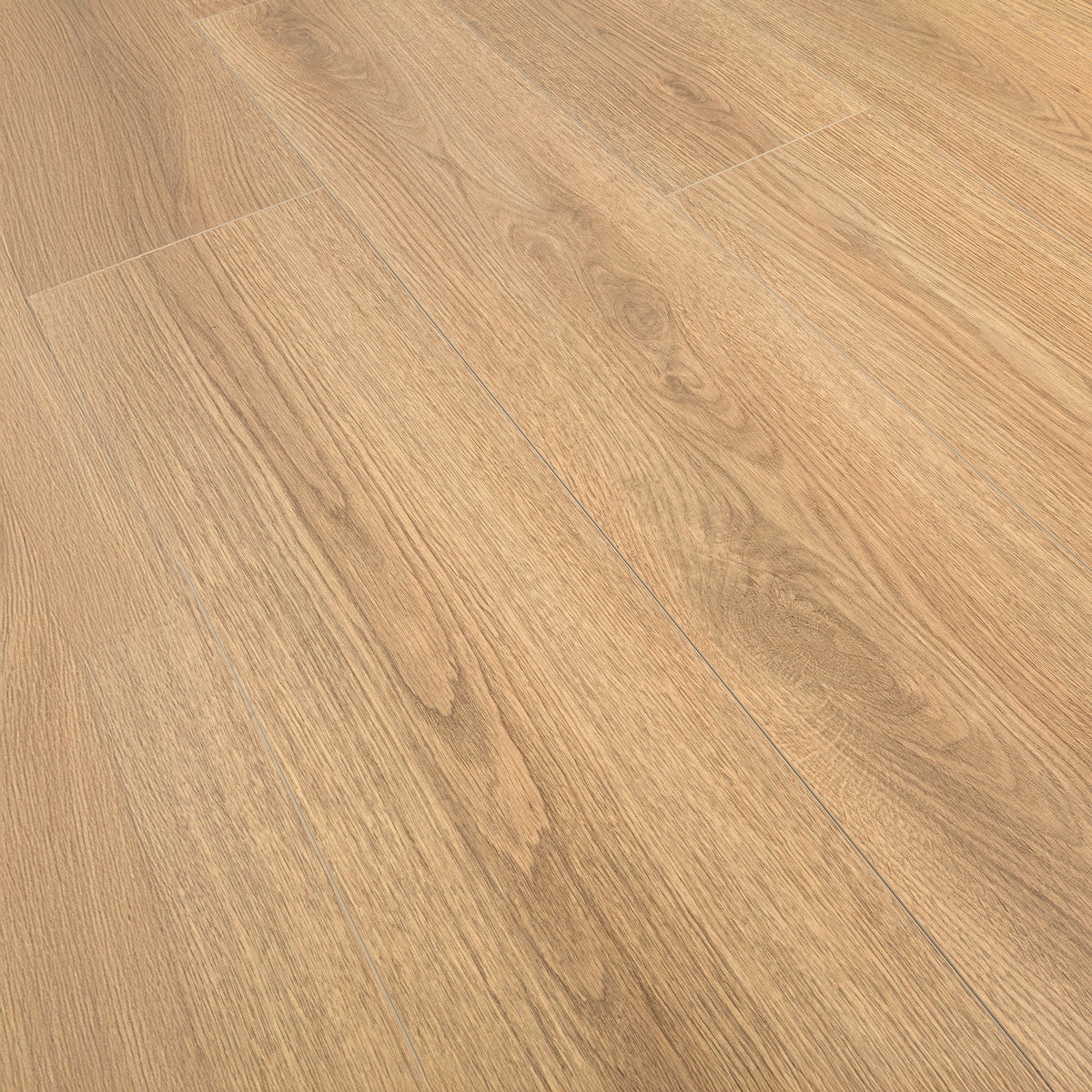 Laminatgulv Oak Sienna 8 mm