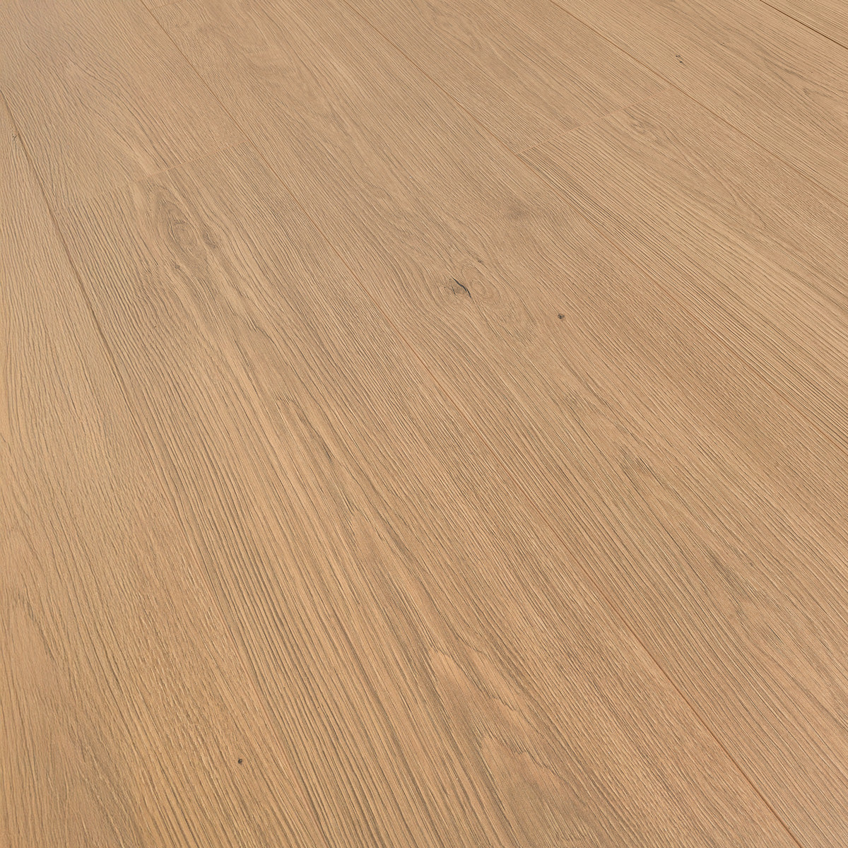 Laminatgulv Oak Toffee 8 mm