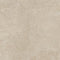 Swatch för Klinker Arenite Kalksten Natural Matt 100x100