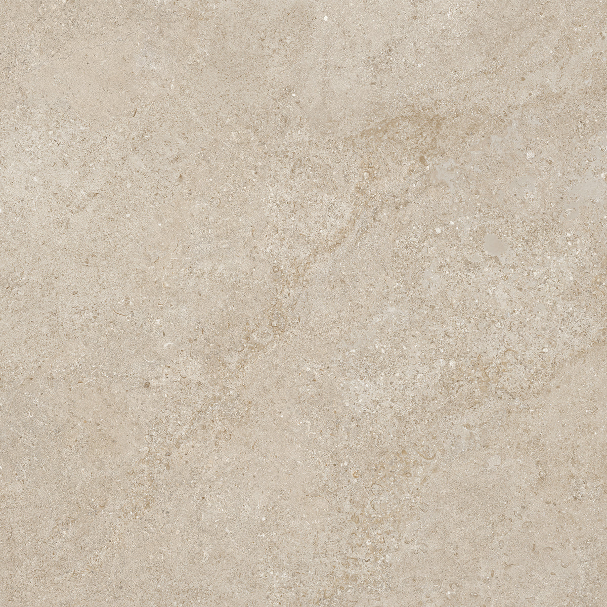 Klinker Arenite Kalksten Natural Mat 60x60