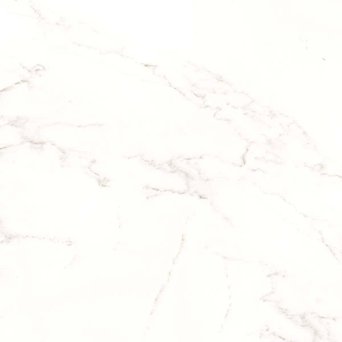 Klinker Carrara Gold Marmor Blank 60x60