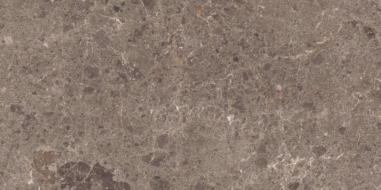 Klinker Artic Moka Marmor Mat 60x120