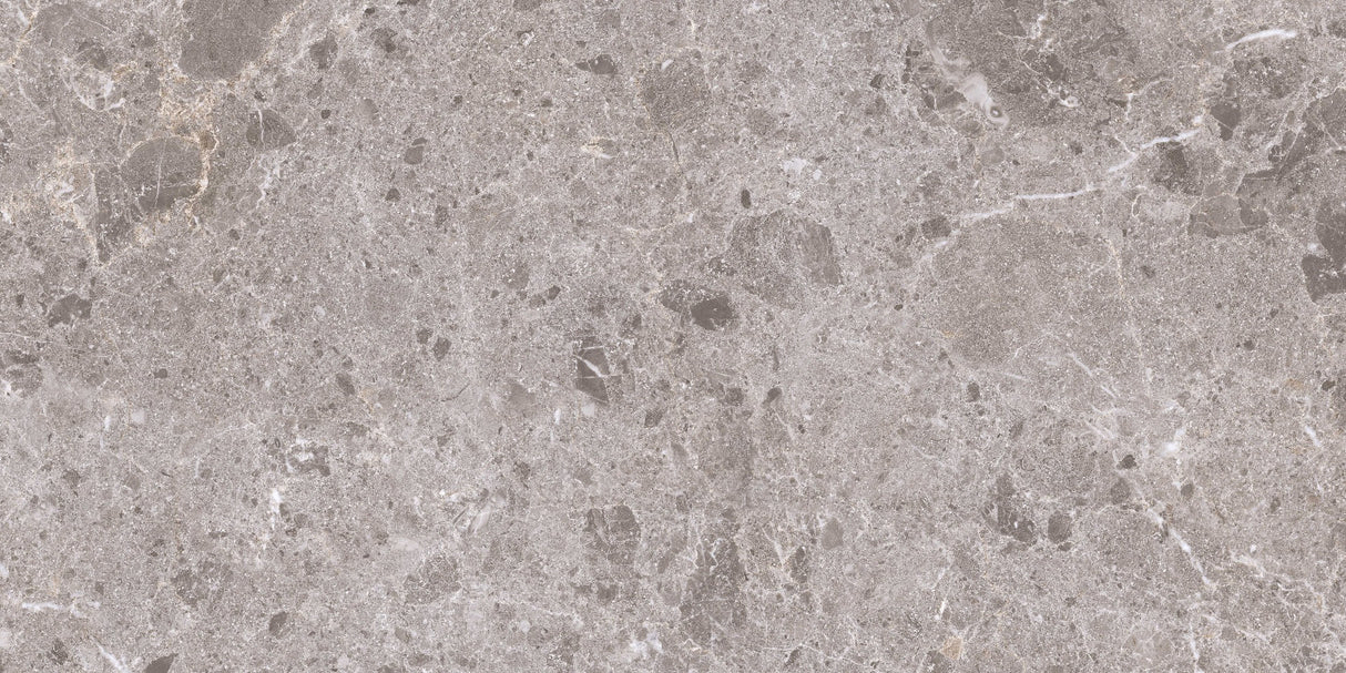 Klinker Artic Gris Marmor Mat 60x120