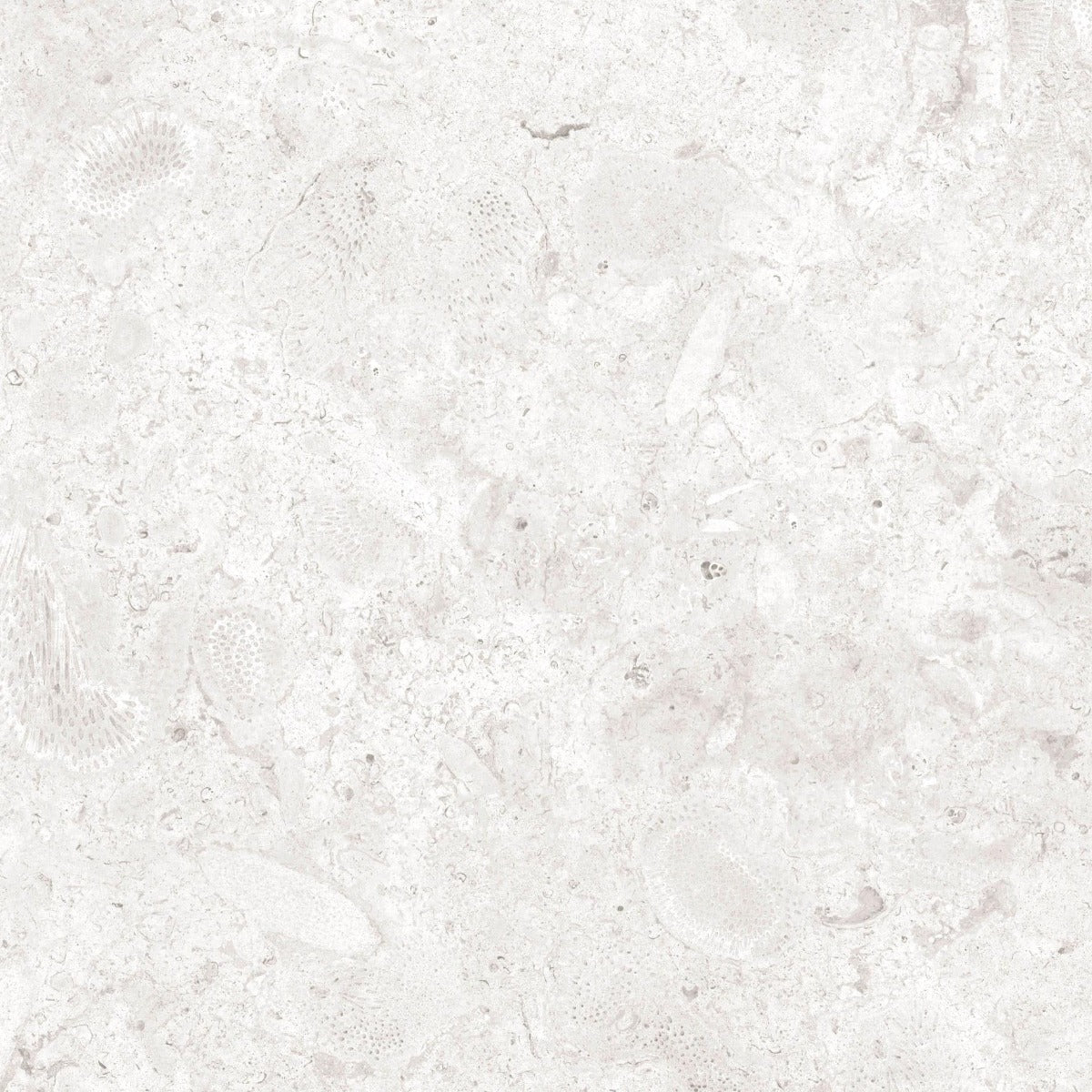Klinker Coralina Perla Mat 60x60