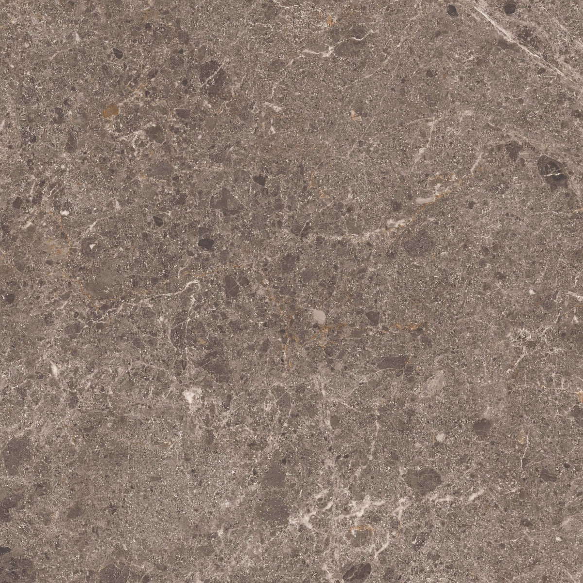 Klinker Artic Moka Marmor Blank 59x59