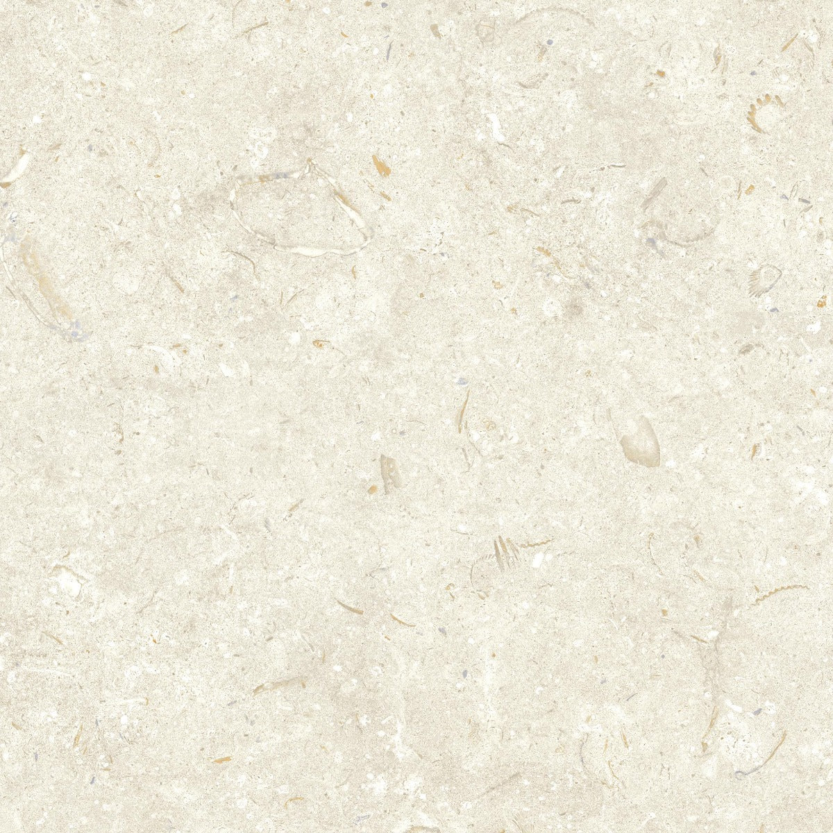 Klinker Gotlandssten Kalksten Bone 60x60