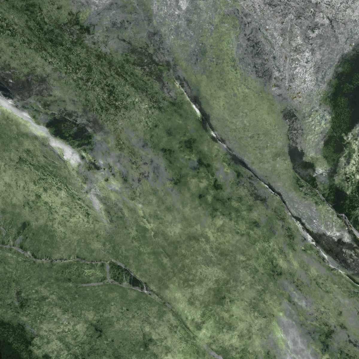 Klinker Amazona Jade Marmor Blank 120x120