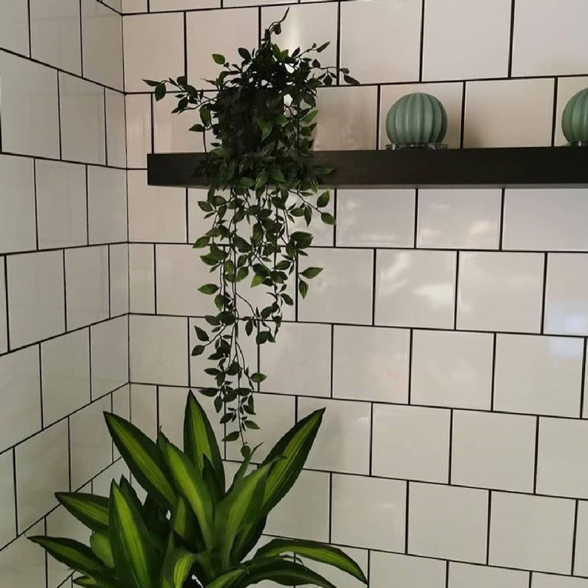 Vægflise Hvid Blank 15x15