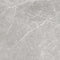 Swatch för Klinker Soapstone Silver Blank Marmor 60x60