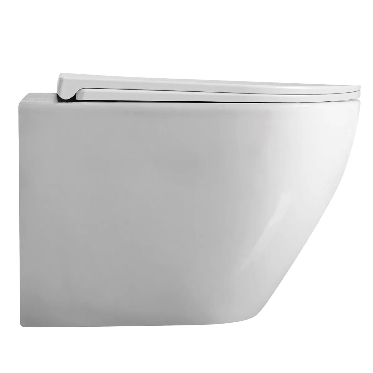 Væghængt Toilet Tenfors Sanitario Plus Hvid Blank