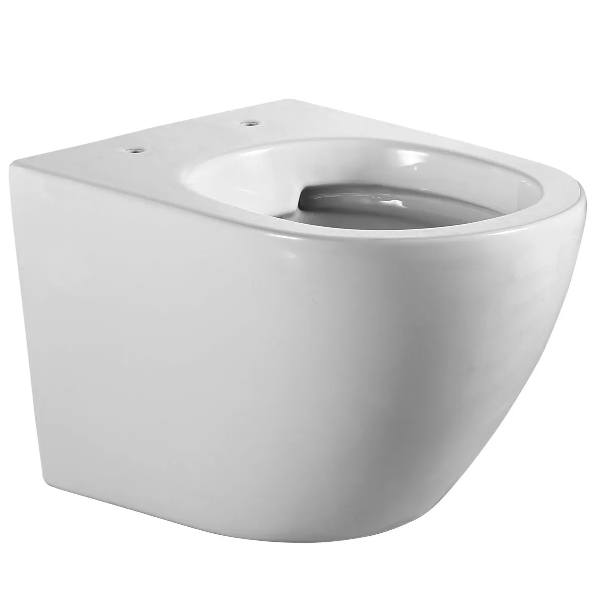 Væghængt Toilet Tenfors Sanitario Plus Hvid Blank