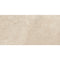 Swatch for Klinker Hermes Beige Mat 60x120