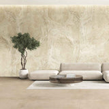 Prøve Klinker Navona Soft Candido Marmor Mat 60x60