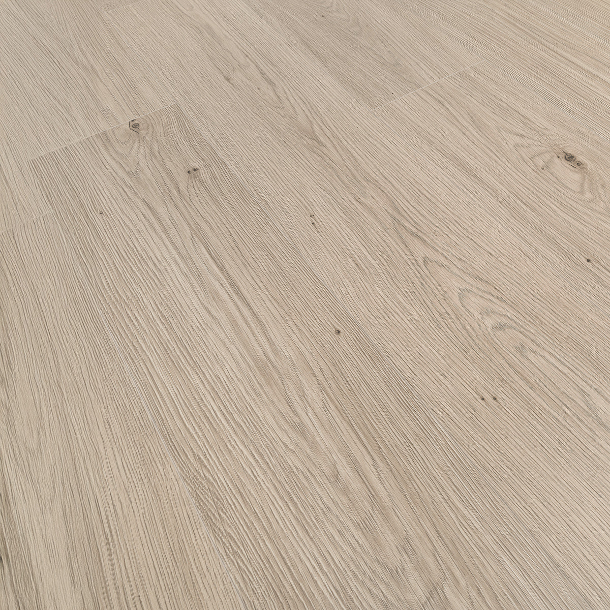 Laminatgulv Oak Camel 8 mm, 1-stav