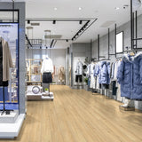 Laminatgulv Oak Disentis 10 mm, 1-stav