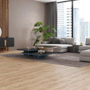 Laminatgulv Oak Natur 8 mm, 1-stav