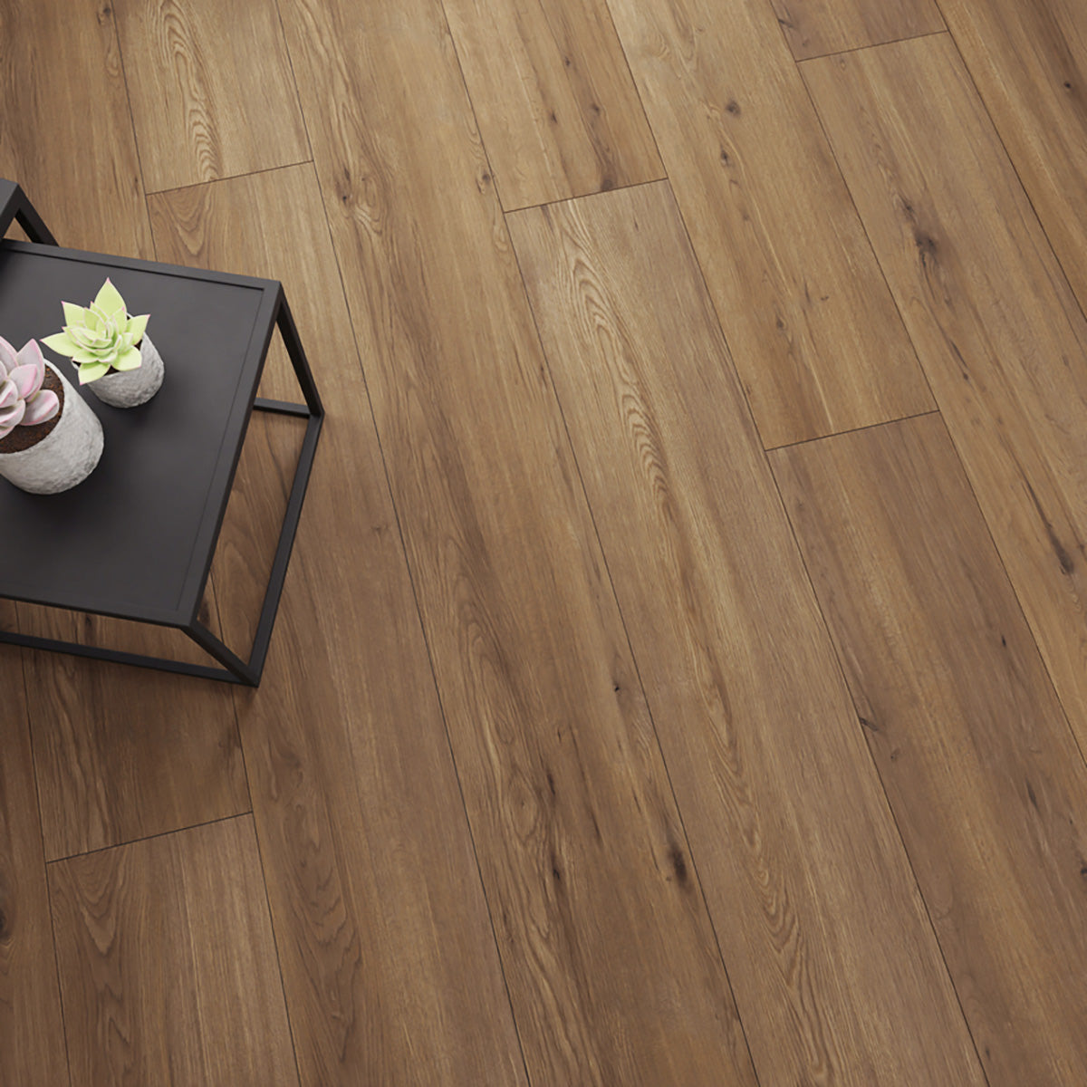 Laminatgulv Oak Sedrun 10 mm