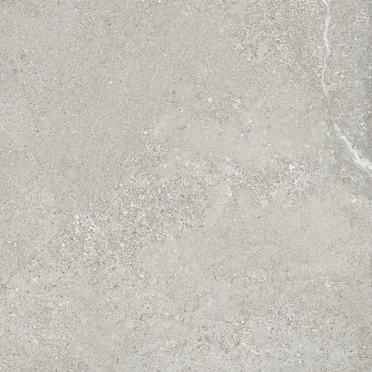 Klinker Arenite Kalksten Grey Mat 60x60