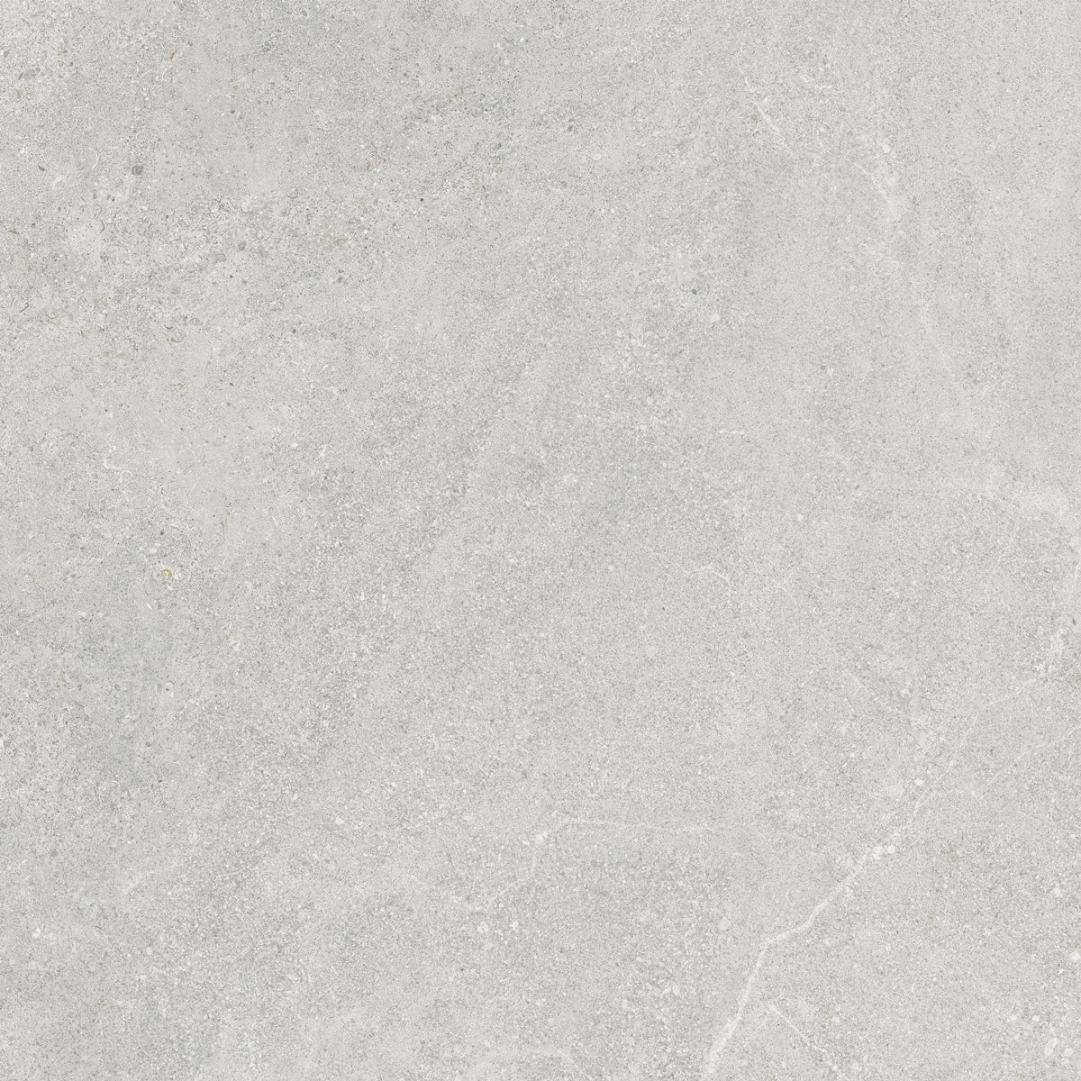 Klinker Arenite Kalksten Pearl Mat 60x60