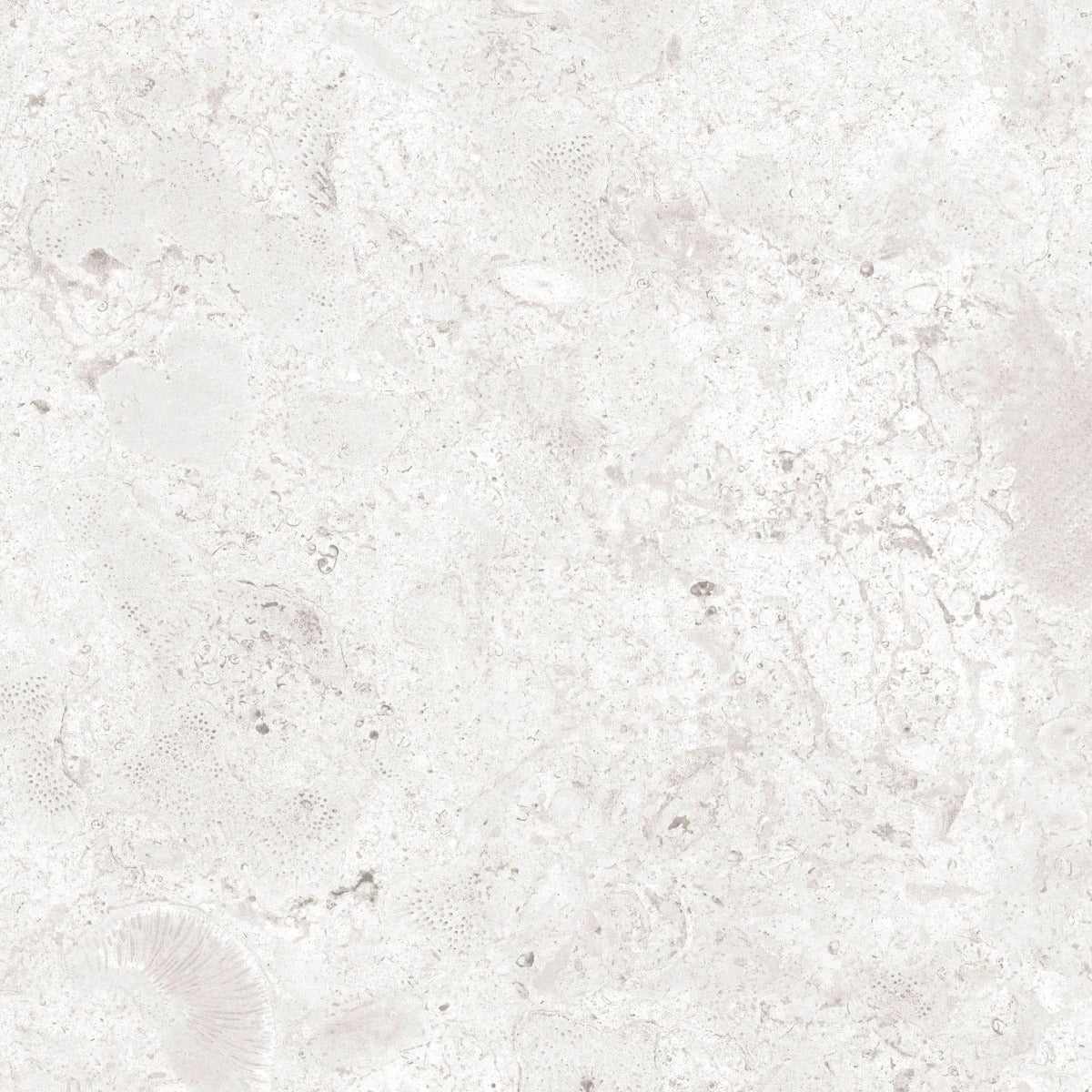 Klinker Coralina Perla Mat 60x60