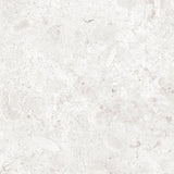 Klinker Coralina Perla Matt 60x60