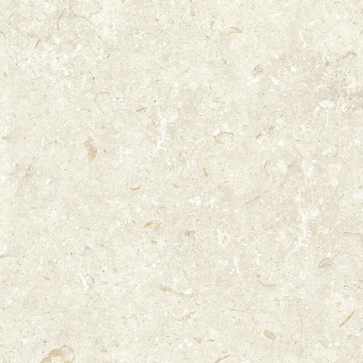 Klinker Gotlandssten Kalksten Bone 60x60