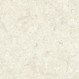 Klinker Gotlandssten Kalksten Bone 60x60