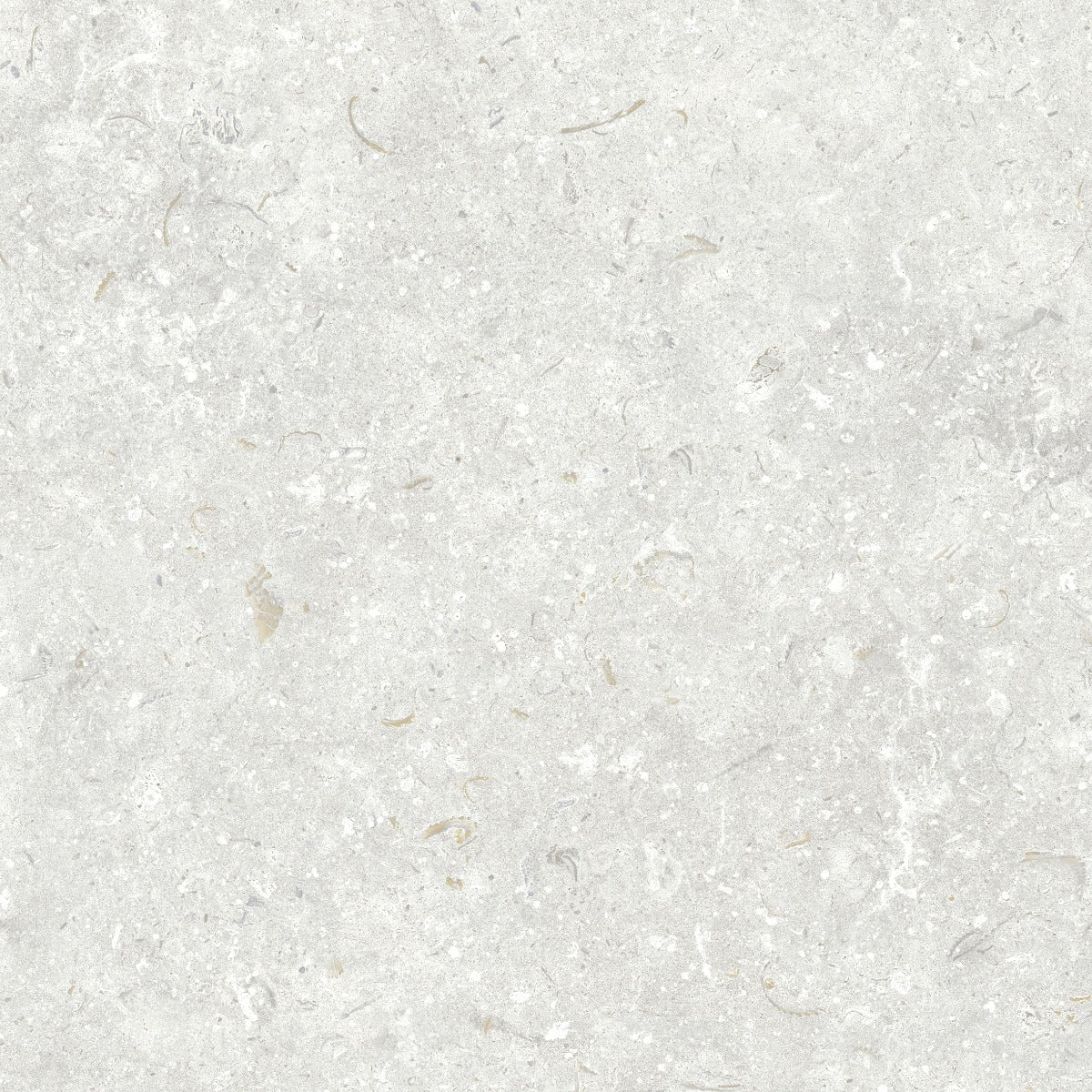 Klinker Gotlandssten Kalksten Perla 60x60