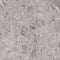 Swatch for Klinker Artic Gris Marmor Mat 60x60
