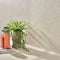 Swatch for Klinker Flax Cream Matt 75x75