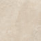 Swatch for Klinker Hermes Beige Mat 120x120