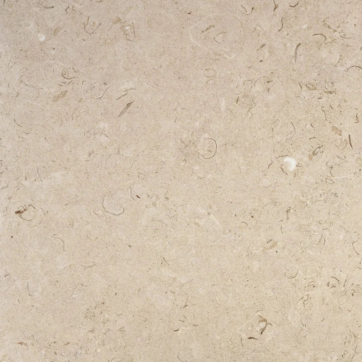 Klinker Kalksten Norr Beige Mat 60x60