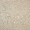 Klinker Kalksten Norr Natural Mat 60x60 swatch
