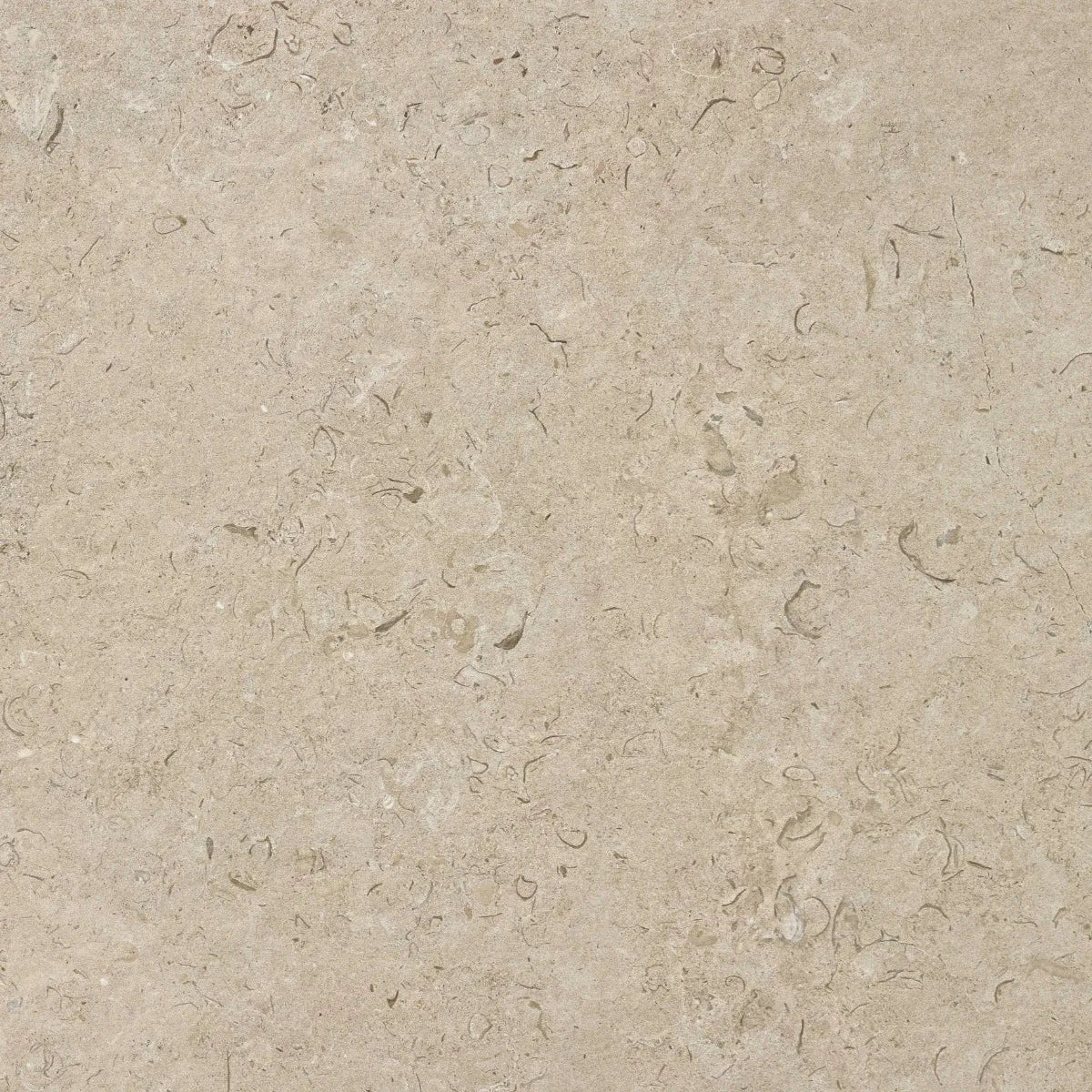 Klinker Kalksten Norr Natural Mat 60x60