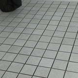 Mosaik Integra Pearl 10x10