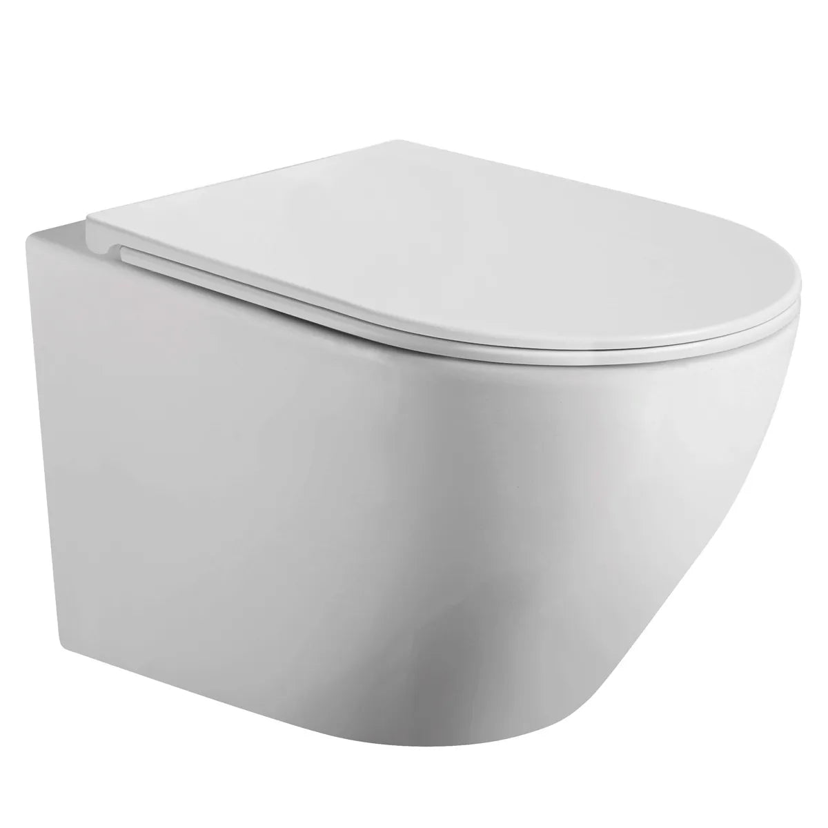 Væghængt Toilet Tenfors Sanitario Plus Hvid Blank