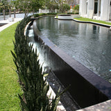 Poolmosaik Negro